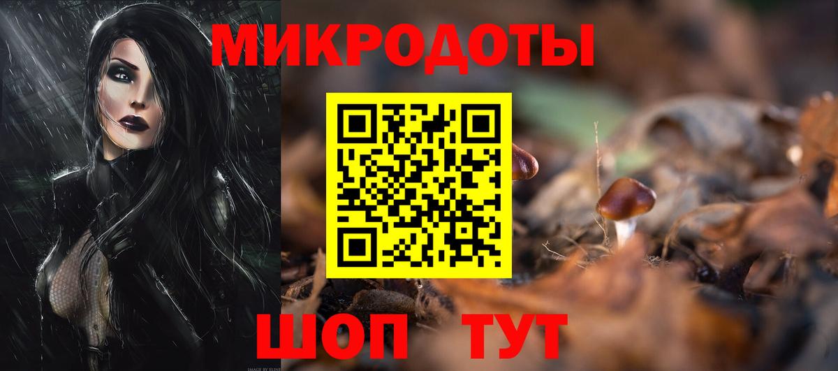 Галлюциногенные грибы прущие грибы  Вход с VPN  Железноводск 